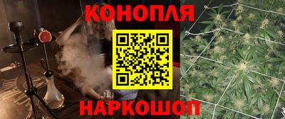 соль ск Кингисепп