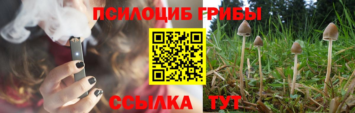 Галлюциногенные грибы GOLDEN TEACHER Евпатория